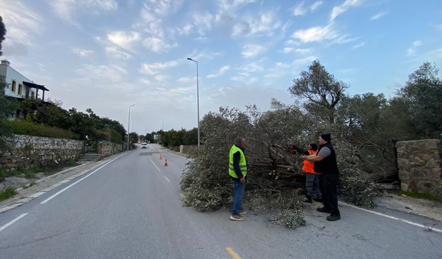 Muğla'da fırtına ve sağanak etkili oluyor