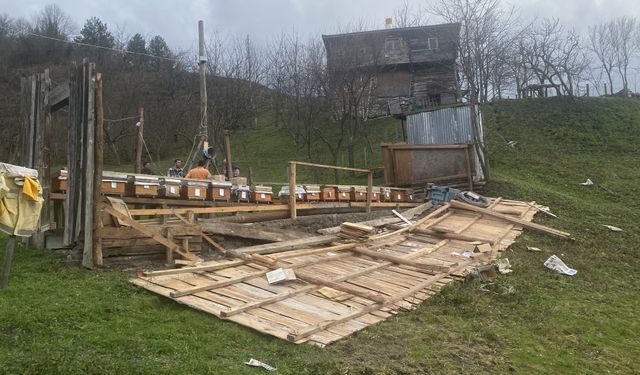 Sinop'ta kovanların yerleştirildiği arılığın rüzgarda uçması güvenlik kamerasında
