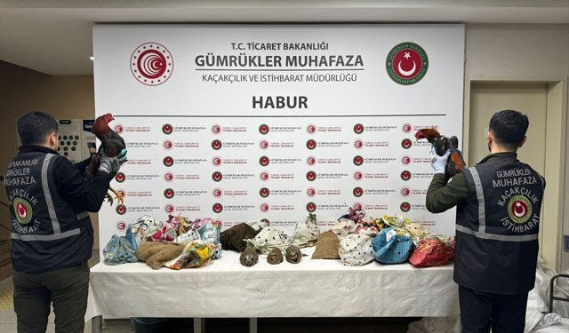 Şırnak'ta yasa dışı yollarla yurda sokulan 38 keklik ve 2 horoz ele geçirildi