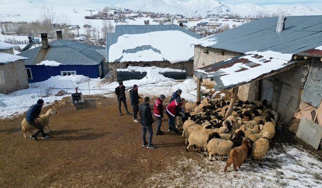 Sürülere kış mevsimine özel mobil sağlık hizmeti