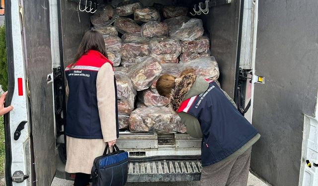 Tekirdağ'da 3 bin 500 kilogram sakatat ele geçirildi