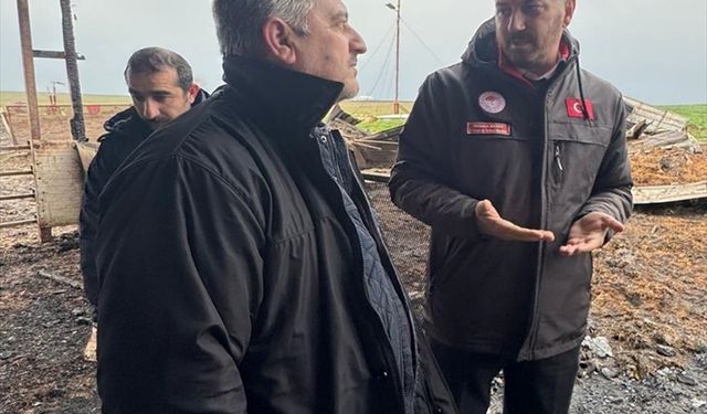 Tekirdağ'da çiftlikte çıkan yangında 100 koyun öldü