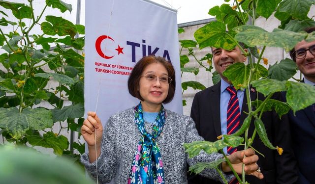 TİKA'dan Vietnam'da tayfundan etkilenen çiftçilere sera desteği