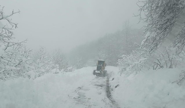 Tokat'ta kar yağışı etkili oldu
