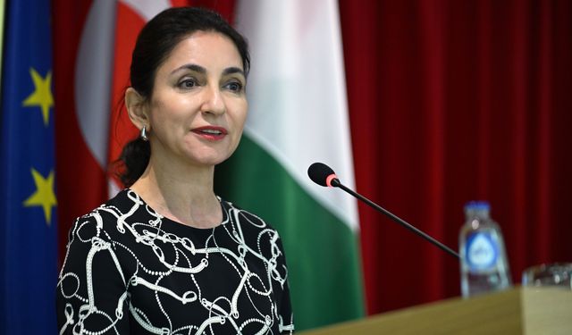 Türkiye, Avrupa rekabet stratejisinin parçası olarak görülmeli