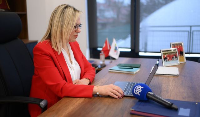 Türkiye Tenis Federasyonu Başkanı Şafak Müderrisgil, AA'nın 'Yılın Kareleri' oylamasına katıldı