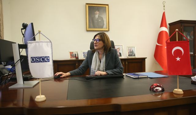 Türkiye'nin AGİT Daimi Temsilcisi Kızıltan, AA'nın 'Yılın Kareleri' oylamasına katıldı