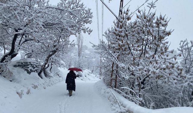 Van, Muş, Hakkari ve Bitlis'te 307 yerleşim yerine ulaşım sağlanamıyor