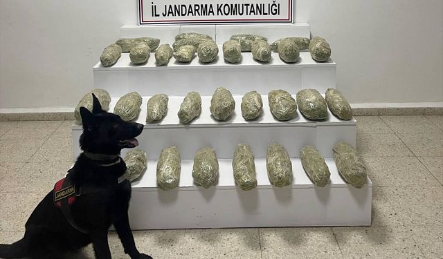 Van'da 21 kilo 350 gram uyuşturucu ele geçirildi