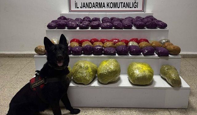 Van'da 31 kilo 551 gram uyuşturucu ele geçirildi
