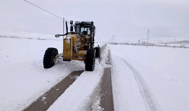 Van'da kardan kapanan 292 yerleşim yerinin yolu açıldı