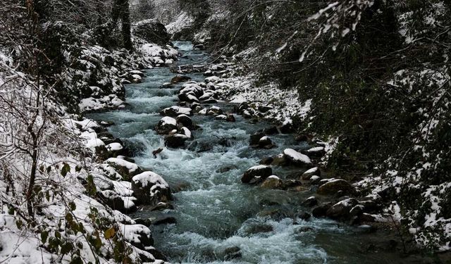 Yağışlar ve alternatif kaynaklarla beslenen Sapanca Gölü 30 santimetre yükseldi