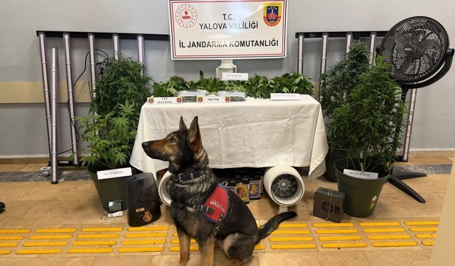 Yalova'da uyuşturucu operasyonunda yakalanan 2 zanlı tutuklandı