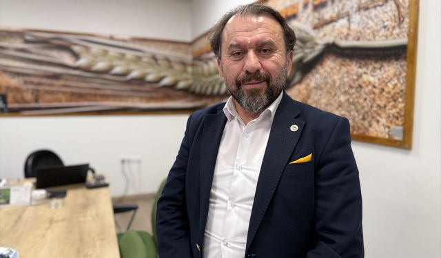 Yerli ayçiçeği tohumunda devlet desteği dışa bağımlılığı büyük ölçüde sonlandırdı