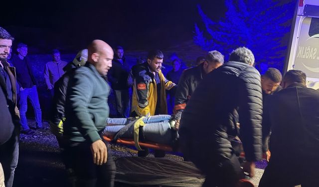 Adıyaman'da devrilen otomobildeki 2 kişi yaralandı