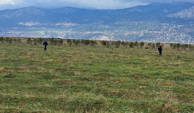 Afyonkarahisar'da kayıp olarak aranan kadın ölü bulundu