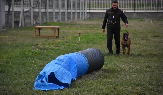 Afyonkarahisar'da Uluslararası ve Ulusal Arama Köpekleri Sınavı başladı