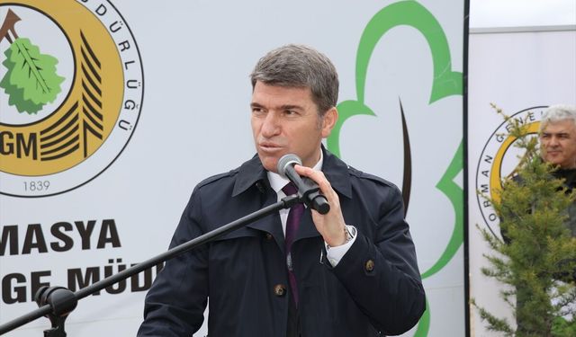 Amasya'da Orman Haftası'nda fidanlar toprakla buluştu