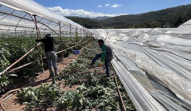 Antalya'da etkili olan hortum bazı seralara zarar verdi