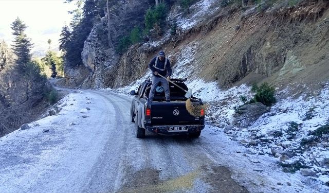 Antalya'nın yüksek kesimlerinde buzlanma olan yollarda tuzlama çalışması yapıldı