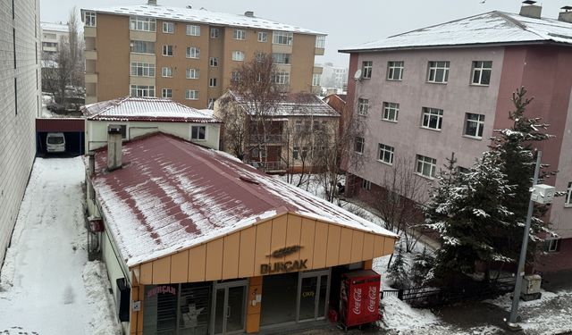 Ardahan ve Kars'ta kar, Erzurum'da karla karışık yağmur etkili oldu