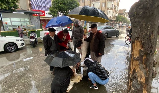 Aydın'da kazada yaralanan motosikletli kadına vatandaşlardan 'insanlık' şemsiyesi