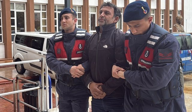 Aydın'da zeytin ve incir ağaçlarını tahrip ettiği belirlenen şüpheli yakalandı