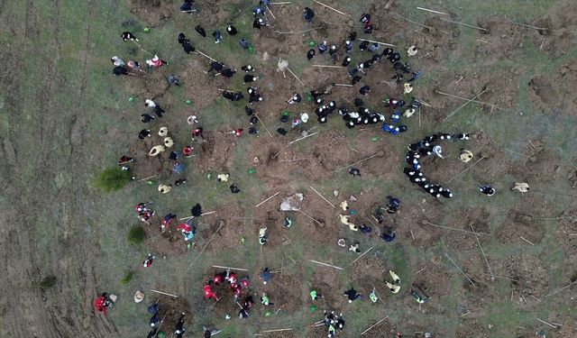 Bilecik'te Şeyh Edebali Hatıra Ormanı oluşturuldu