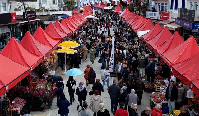 Bodrum'da 7. Acı Ot Festivali binlerce kişiyi ağırladı