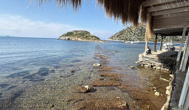 Bodrum'da denizin çekilmesiyle Tavşan Adası'ndaki tarihi surlar ortaya çıktı