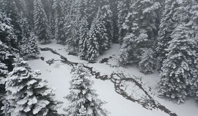 Bolu'nun yüksek kesimlerinde kar yağışı etkisini sürdürüyor