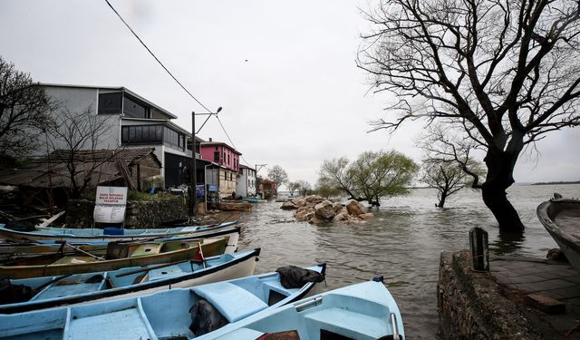 Bursa'da 2 gündür etkili olan sağanak sonucu Uluabat Gölü'nün su seviyesi yükseldi