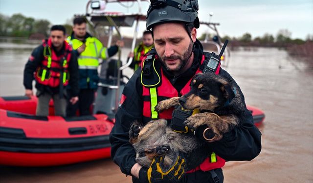 Bursa'da taşkın sırasında bağ evinde mahsur kalan köpekler kurtarıldı