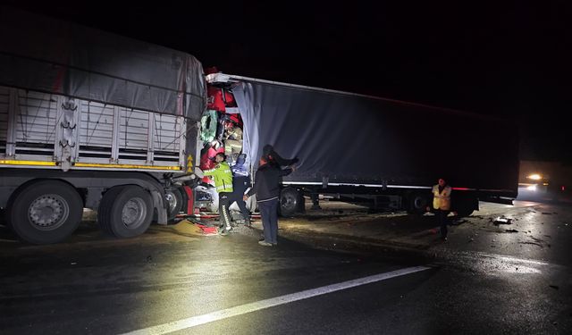 Bursa'da tıra arkadan çarpan tırın sürücüsü öldü