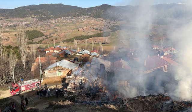 Çorum'da çıkan yangında 2 ev ile ambar zarar gördü