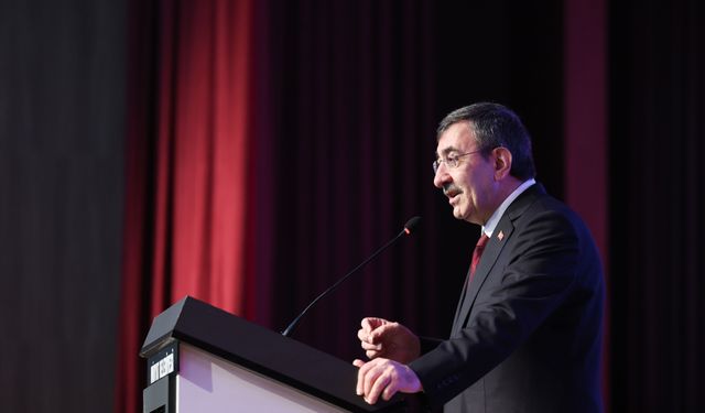 Cumhurbaşkanı Yardımcısı Yılmaz, Midyat'ta 'Toplu Açılış Töreni'nde konuştu: