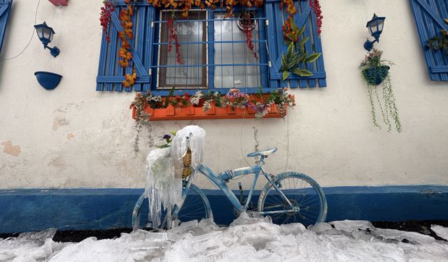 Erzurum, Ardahan, Ağrı ve Kars'ta aralıklarla kar etkili oluyor