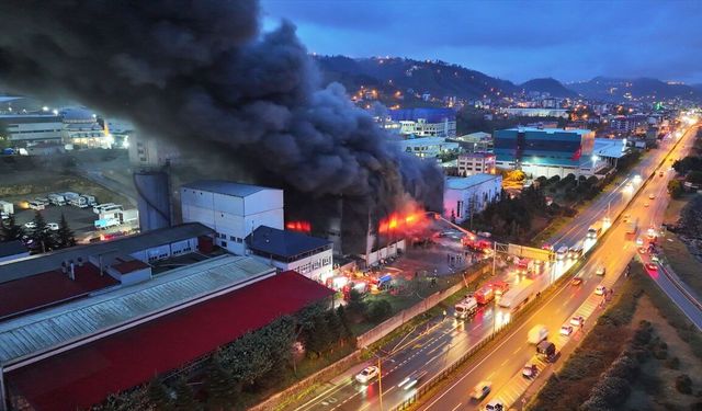 GÜNCELLEME - Trabzon'da fındık fabrikasının deposunda çıkan yangına müdahale ediliyor
