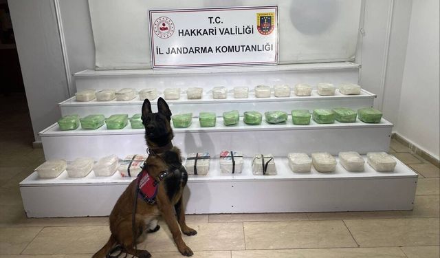 Hakkari'de 58 kilo 971 gram sentetik uyuşturucu ele geçirildi