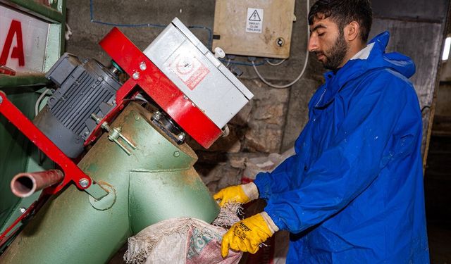 İstanbul'u bırakıp köyüne dönen mühendis hayvancılıkta örnek oluyor