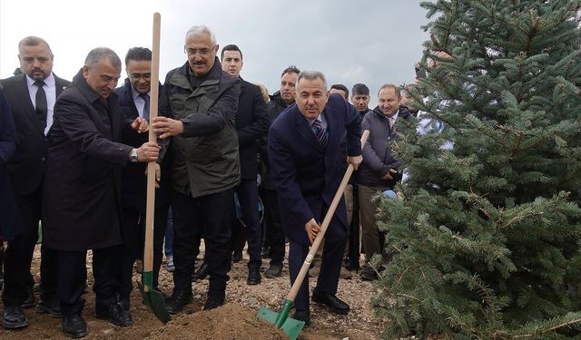 İzmir'de 100 bin fidan toprakla buluşturuldu