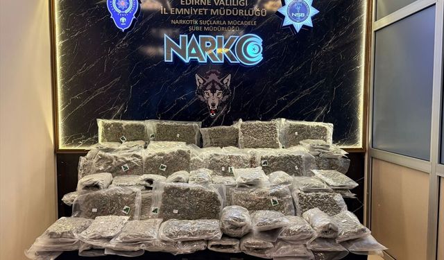 Kapıkule'de tırda 53 kilo 206 gram skunk ele geçirildi