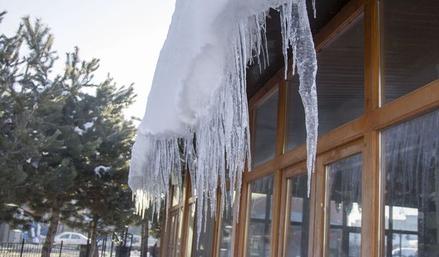 Kars'ta sulak alanlar dondu, bitki ve ağaçlar kırağı tuttu