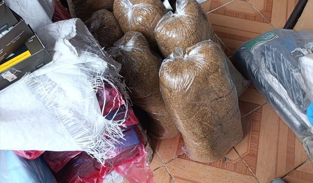 Kastamonu'da 99 bin 560 makaron ele geçirildi, 4 zanlı yakalandı