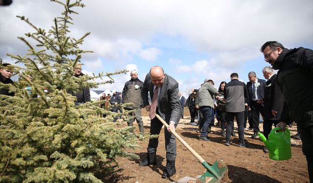 Kastamonu'da 'Türkiye'nin gücü orman' programında 1340 fidan dikildi