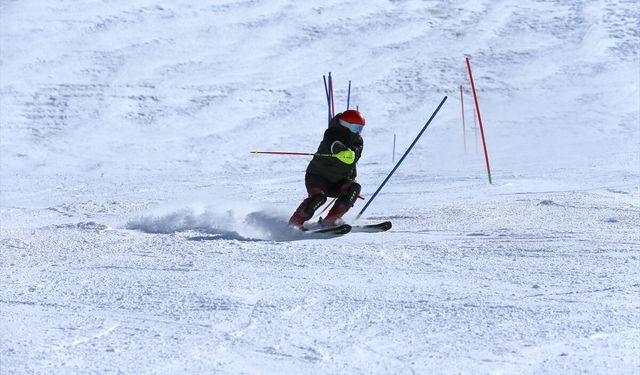 Kayağın 'özel ikizleri' Fransa'da altın madalya kazanmak için aralıksız çalışıyor