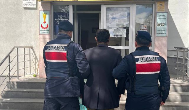 Kayseri'de köpeği ağaca asarak öldüren zanlı gözaltına alındı