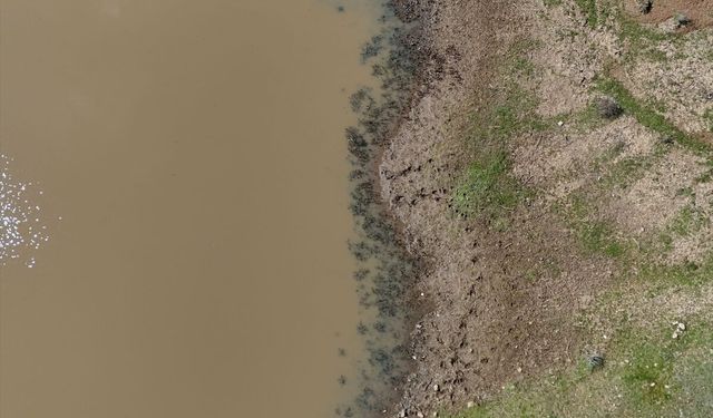 Kırklareli'nde Taşlık Göleti'nin doluluk oranı yağışlarla arttı