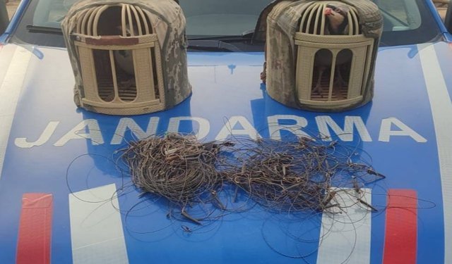 Kırşehir'de tuzakla keklik avlayan 2 kişi yakalandı