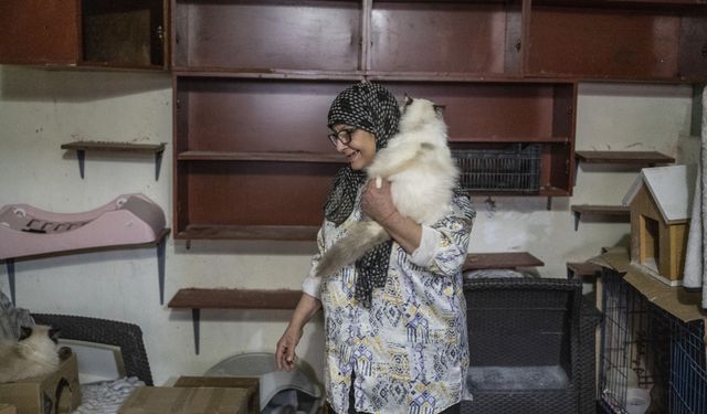 Lübnanlı hayvansever Abadi, İsrail saldırıları altındaki Dahiye'den 40 kedisiyle ayrılmak zorunda kaldı